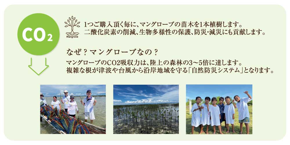 環境への取り組み